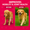 Petz Essentials Bone and Joint Support for Dogs | Glucosamine, Chondroitin, MSM & Green Lipped Mussel | Joint Health & Mobility Booster | Vet-Formulated Liquid Supplement – 300ml