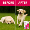 Petz Essentials Vitamin & Minerals for Dogs – 300ml Oral Paste – Daily Multivitamin Supplement for Immunity, Growth & Vitality – All Breeds & Ages