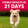 Petz Essentials Vitamin & Minerals for Dogs – 300ml Oral Paste – Daily Multivitamin Supplement for Immunity, Growth & Vitality – All Breeds & Ages