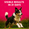 Petz Essentials Bone and Joint Support for Dogs | Glucosamine, Chondroitin, MSM & Green Lipped Mussel | Joint Health & Mobility Booster | Vet-Formulated Liquid Supplement – 300ml
