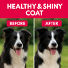 Petz Essentials Hair and Skin Nutrition for Dogs – 300ml | Omega 3, Biotin & Zinc Enriched Supplement for Healthy Skin & Shiny Coat | Vet Approved, Tasty & Easy to Feed