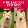 Petz Essentials Hair and Skin Nutrition for Dogs – 300ml | Omega 3, Biotin & Zinc Enriched Supplement for Healthy Skin & Shiny Coat | Vet Approved, Tasty & Easy to Feed