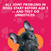 🐾 Petz Essentials Bundle – Bone & Joint + Oatmeal Shampoo + Paw Butter at Special Bundle Price: ₹999